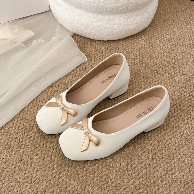 LIZAKOSHT  -    Vintage Thick Heel Women Mary Jane Shoes Comfort Slip on Walking Shoes New Spring Autumn Concise Zapatos De Mujer