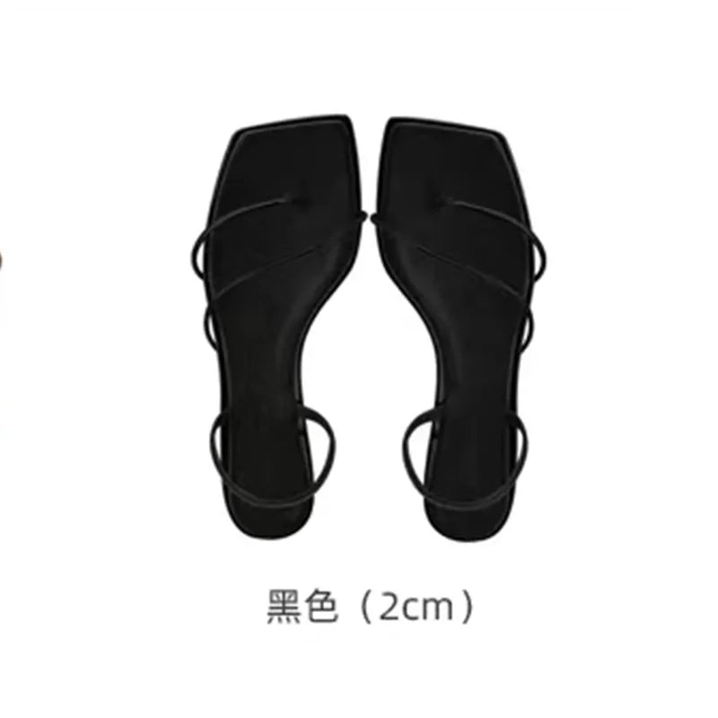 LIZAKOSHT  -  sexy ladies summer shoes narrow band high heels sandals women brand designer clip toe gladaitor sandalias mujer party slides