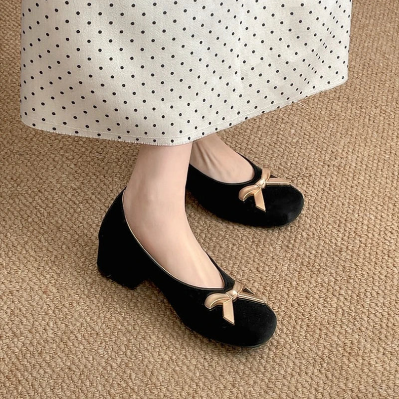 LIZAKOSHT  -    Vintage Thick Heel Women Mary Jane Shoes Comfort Slip on Walking Shoes New Spring Autumn Concise Zapatos De Mujer