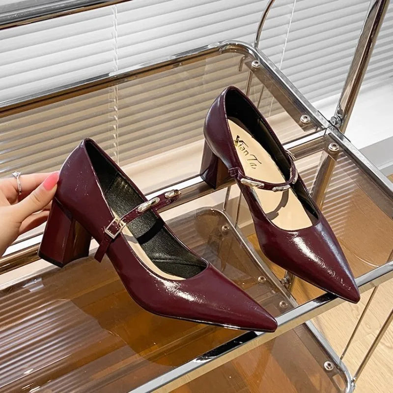 LIZAKOSHT  -  Women's New Style Comfortable Mary Jane Shoes Pointed Toe Chunky Heel High Heel Spring Summer Small Leather Versatile Shoes