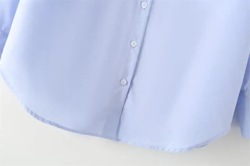 LIZAKOSHT  -  Tops Shirts Spring Women's 2025 New Chic Striped Elegant Loose V-neck Women's Shirts Street Casual Fashion Youth Office Blouses