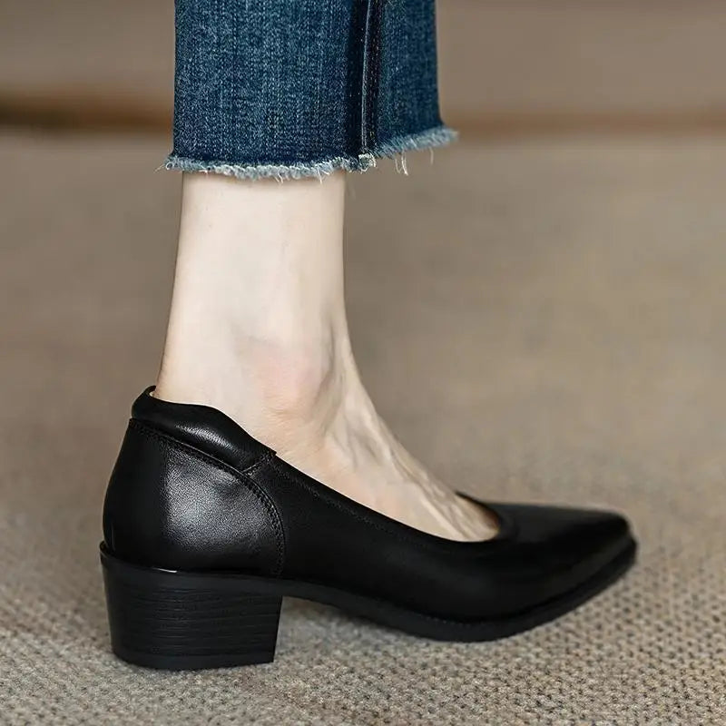 LIZAKOSHT  -  Women's Shoes Pumps Retro Brown Pointed Toe Thick Heels Spring Autumn Office Ladies Dress Pu Leather Fashion Elegant Woman Shoes