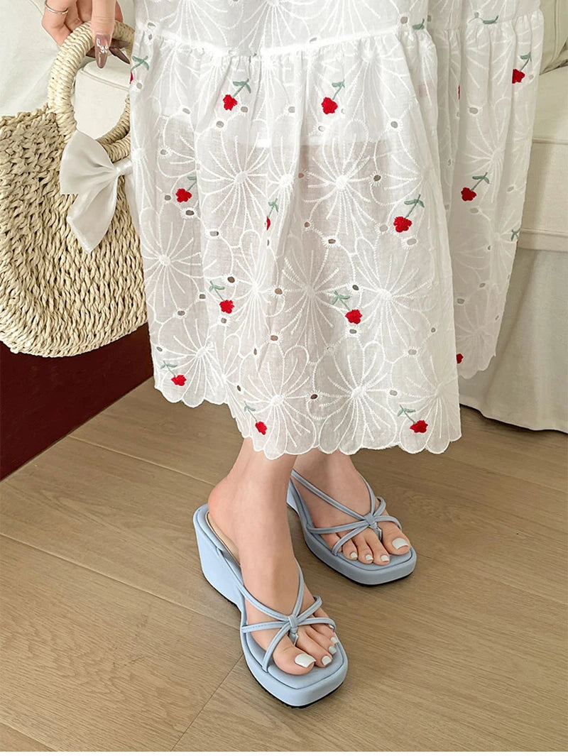 LIZAKOSHT  -  Designer Summer Women Wedges Heel Clip Toe Slippers Concise Narrow Band Slide Ladies Outdoor Party Dress Sandalias