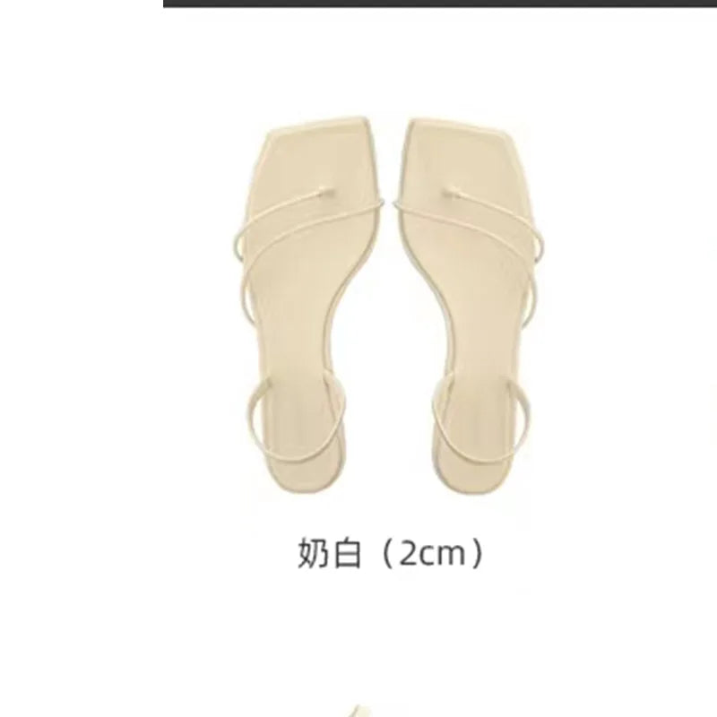 LIZAKOSHT  -  sexy ladies summer shoes narrow band high heels sandals women brand designer clip toe gladaitor sandalias mujer party slides