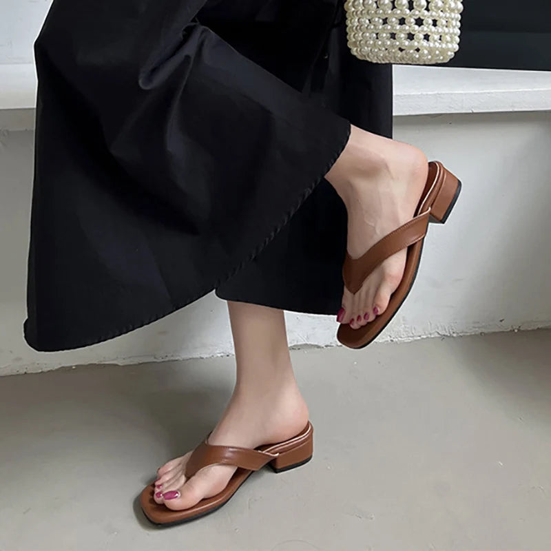 LIZAKOSHT  -  Gladiator Summer Clip Toe Women Slippers Fashion Low Heel Slide Ladies Outdoor Beach Dress Sandalias