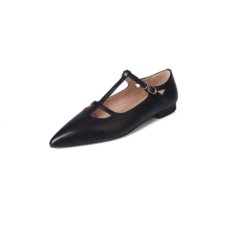 42763960680654|42763960910030|42763960942798|42763960975566|42763961008334|42763961041102