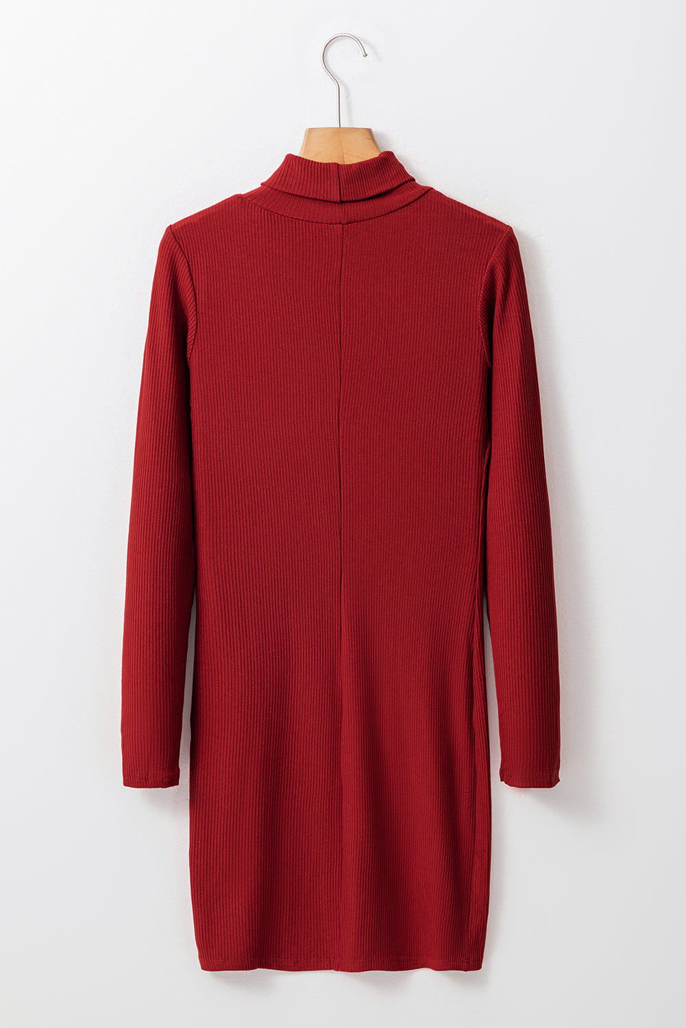 LIZAKOSHT  -  Ribbed Mock Neck Long Sleeve Mini Dress