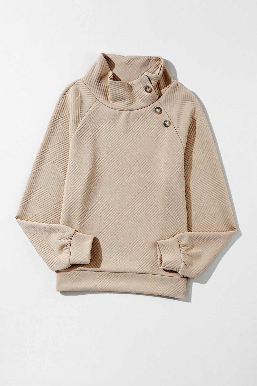 LIZAKOSHT  -  Textured Turtleneck Long Sleeve Sweatshirt