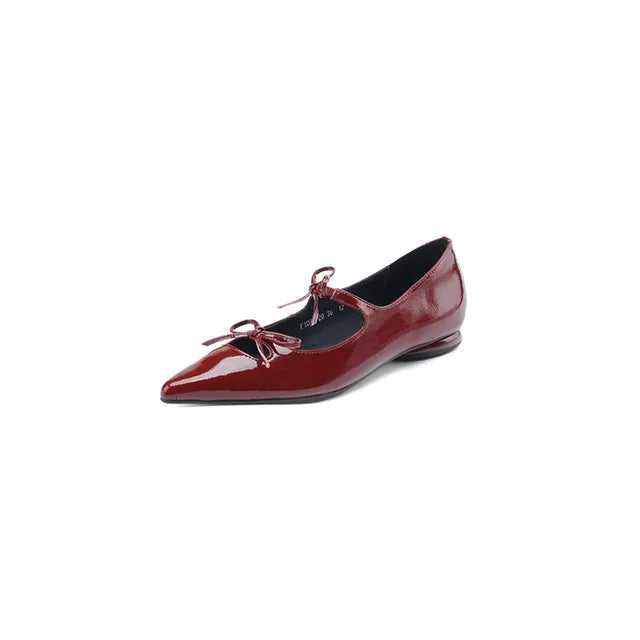 Lizakosht New Spring/Autumn Pointed Toe Women Pumps Patent Leather Low Heels Shoes for Women Comfortable Mary Jane Shoes Ladies Shoes