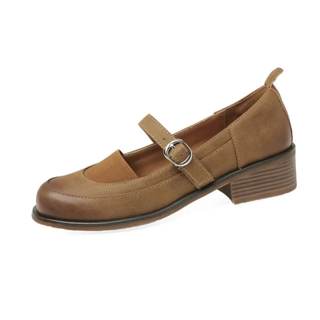 Lizakosht Spring/summer Women Shoes French Vintage Round Toe Chunky Heel Casual Mary Jane Shoes Women Pumps Handmade Shoes for Women