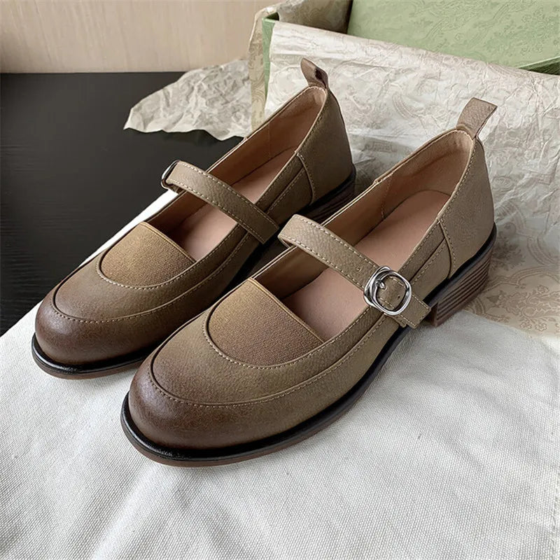 Lizakosht Spring/summer Women Shoes French Vintage Round Toe Chunky Heel Casual Mary Jane Shoes Women Pumps Handmade Shoes for Women