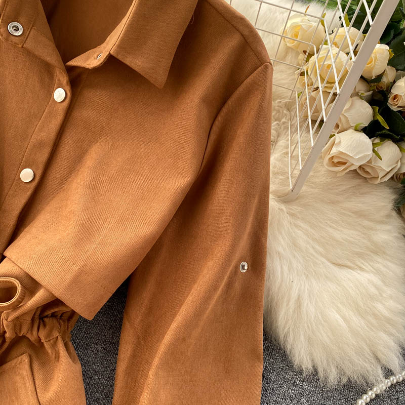 New Women Short Dress Spring Autumn Turn Down Collar Single-breasted Casual Dresses Ladies Shirts Dress