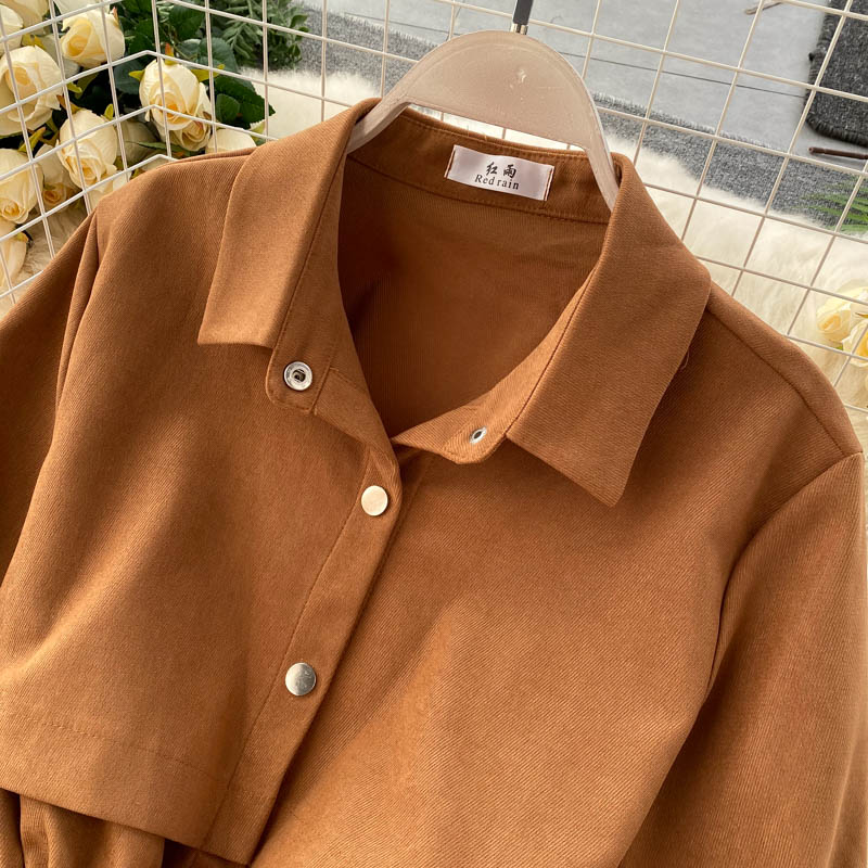 New Women Short Dress Spring Autumn Turn Down Collar Single-breasted Casual Dresses Ladies Shirts Dress