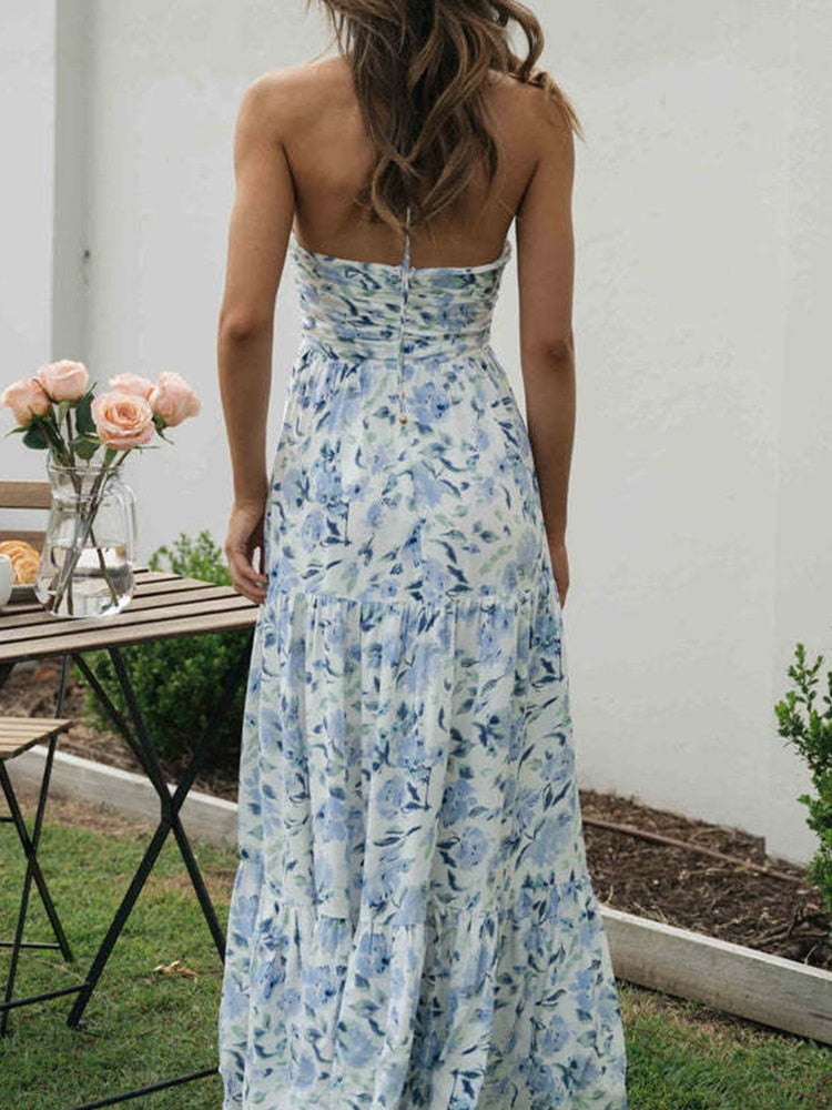 Lizakosht Chiffon Halter V-neck Printed Women Summer Long Ladies Dress Sleeveless Beach Style Backless Floral Dress 2023 New