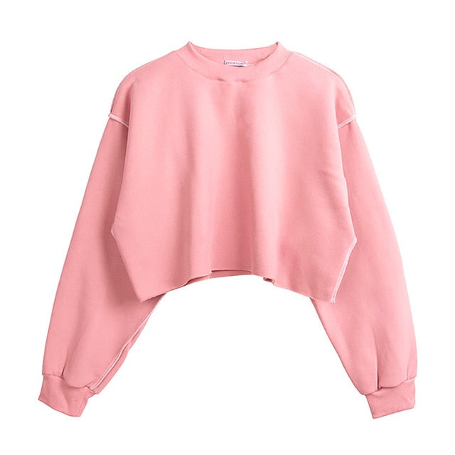 Thick Women Sweatshirt Hoodie Casual Loose  Long Sleeve Oversized Streetwear Crop Sweatshirt For Girls Plus Size M30375