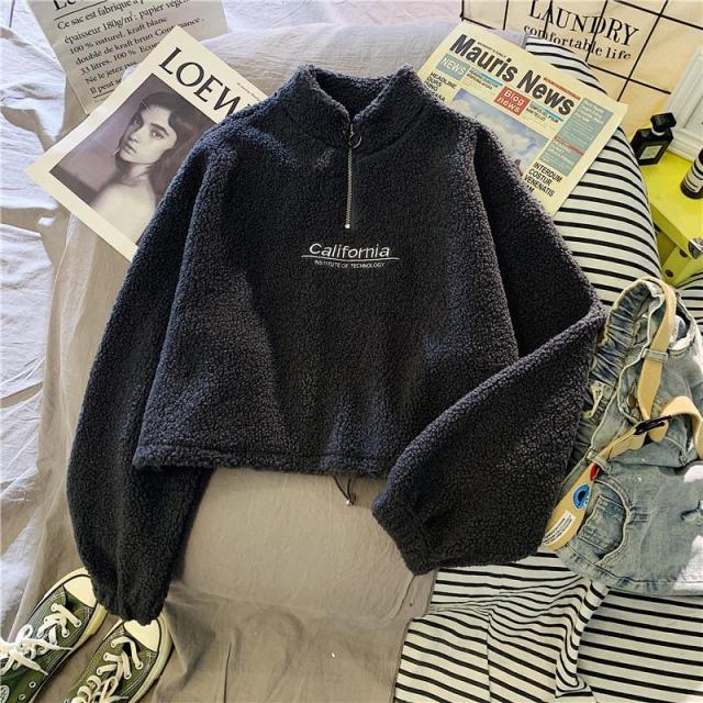 Cashmere Short High Collar Hoodies Women Thicken Loose Korean Autumn Zipper Coat Embroider California Letters Sweatshirt Femme