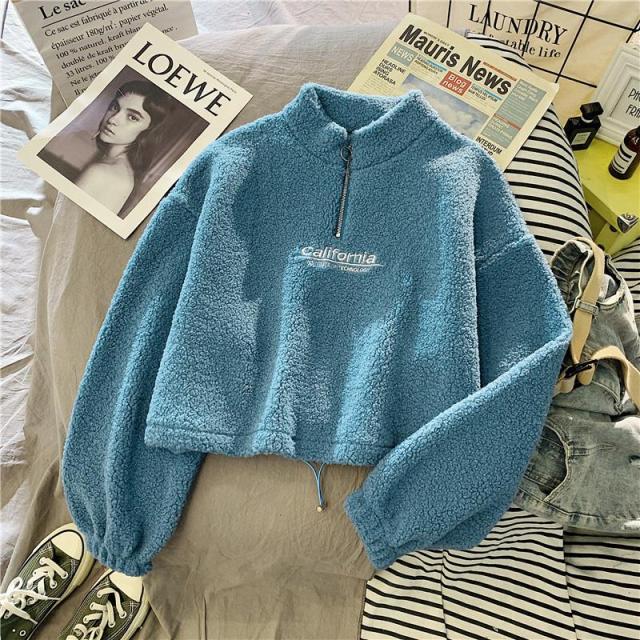 Cashmere Short High Collar Hoodies Women Thicken Loose Korean Autumn Zipper Coat Embroider California Letters Sweatshirt Femme