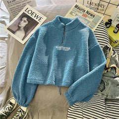 Cashmere Short High Collar Hoodies Women Thicken Loose Korean Autumn Zipper Coat Embroider California Letters Sweatshirt Femme