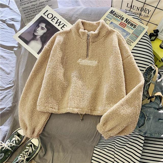 Cashmere Short High Collar Hoodies Women Thicken Loose Korean Autumn Zipper Coat Embroider California Letters Sweatshirt Femme